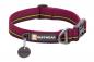 Preview: Ruffwear Flat Out Collar Wildflower Horizon Gr. S